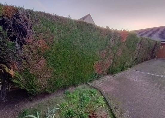 Arrachage de haie et Pose de clôture Treillis Soudé avec Occultant Bois dans le 76